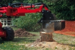 stump grinder